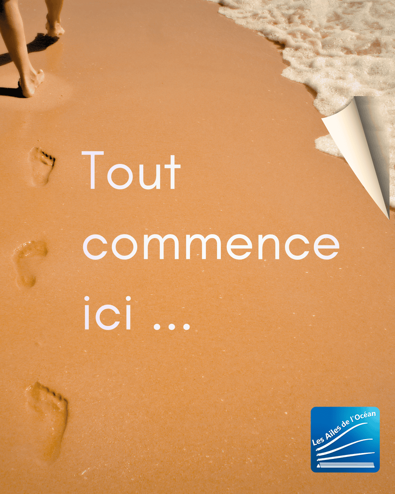 Tout commence ici ...