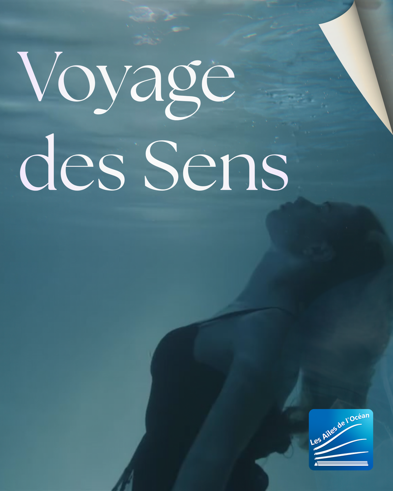 Voyage des Sens